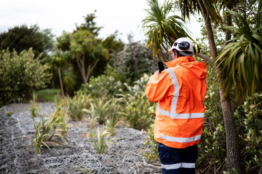 Green space Maintenance