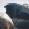 Marine Waste